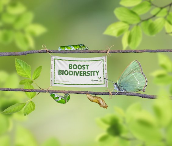 QLA - BOOST BIODIVERSITY