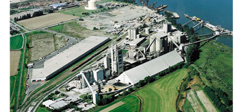 Delta Plant
